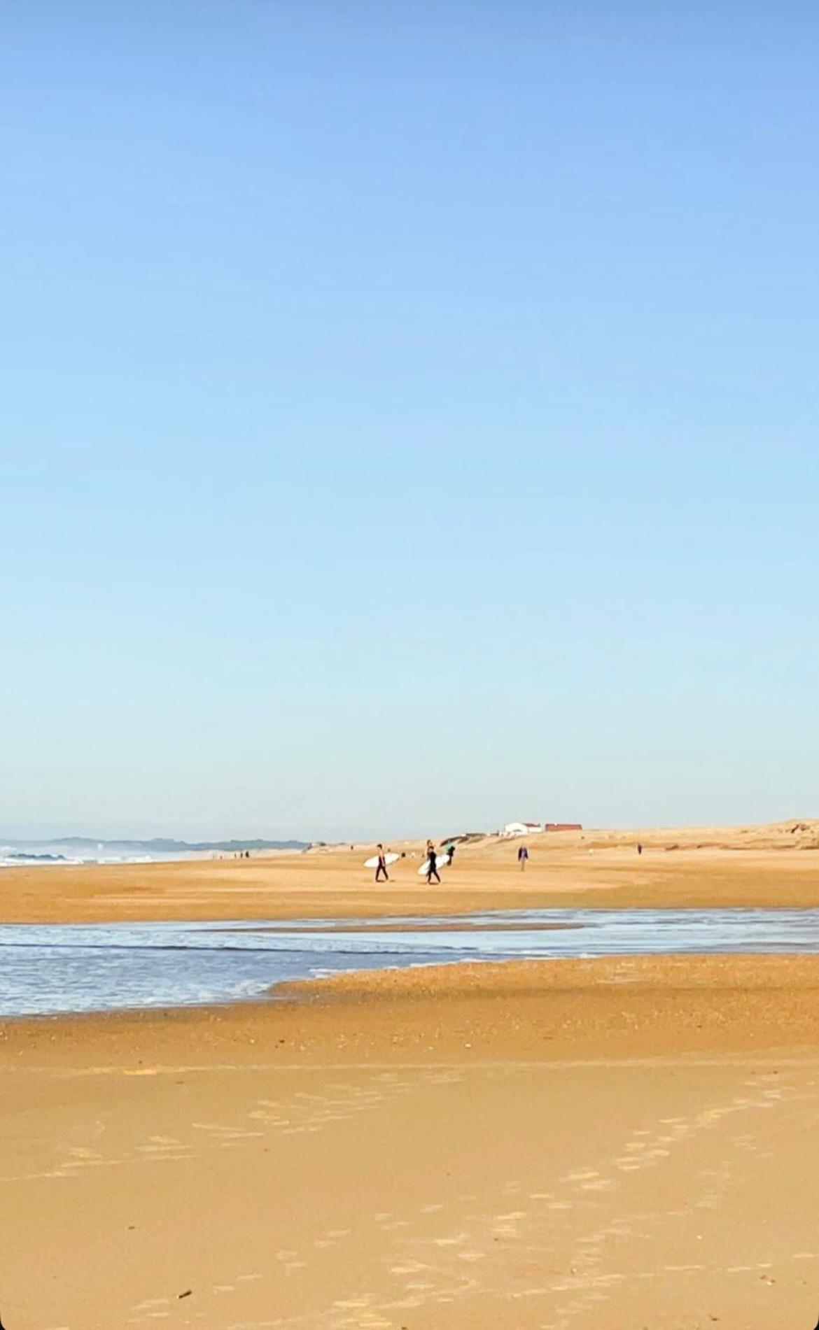 T3 Labenne Capacite 6 Couchages 10Min De La Plage المظهر الخارجي الصورة
